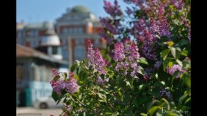 Голос из прошлого - Машмет