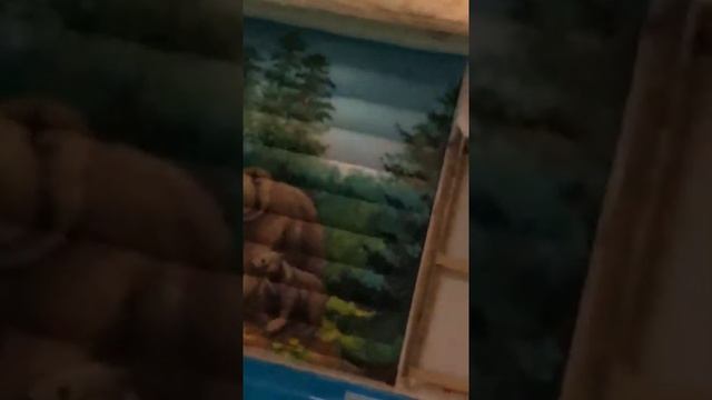 Как выбрать краску для влажного помещения смотреть онлайн