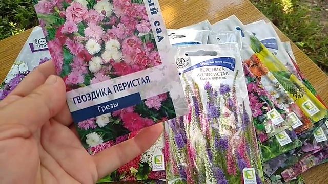 Большой обзор семян многолетников.Как посеять в грунт. смотреть онлайн