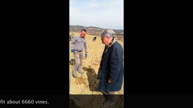 La nuova vigna di sangiovese (Marzo 2021) смотреть онлайн