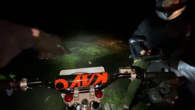 ПОКАТУШКИ НА НОВОМ ПИТБАЙКЕ KAYO! НОЧНАЯ ОБКАТКА ПОШЛА НЕ ПО ПЛАНУ??? смотреть онлайн