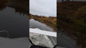 катер томь 455 водомëт,р. Хоседа 2022