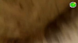 10 НЕОЖИДАНИХ НАХОДОК. БРАТЬЯ ОТКРЫЛИ ПОСЫЛКУ А ТАМ МИЛЛИОН ДОЛЛАРОВ