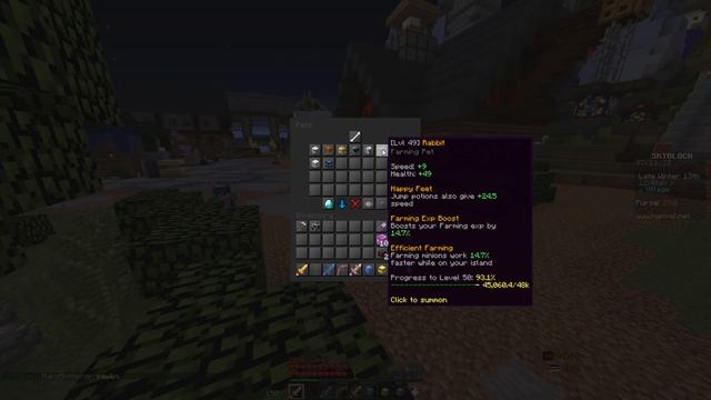 Про Питомцев (Петы, Pets) на Hypixel Skyblock RPG [Остров РПГ].