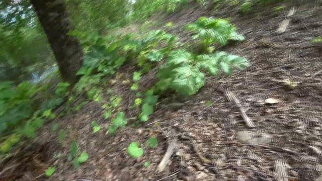 ЧУДО МАГНИТ, ШИКАРНЫЕ НАХОДКИ!!!MIRACLE MAGNET, GORGEOUS FINDS!!! смотреть онлайн