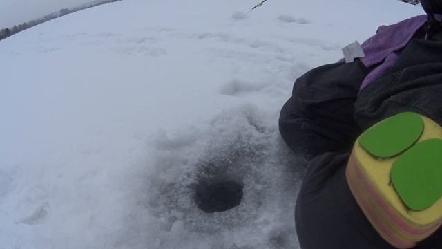 Рыбалка на Красном озере. Первые поимки плотвы. 07.12.2020г. 36 окуней и 4 полотвы))) смотреть онлайн