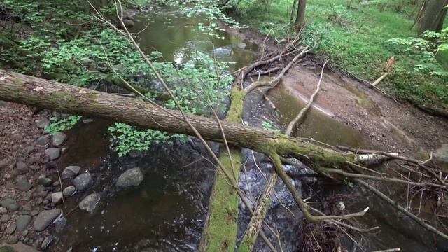 Hiking in Russia.The westernmost part of Russia. Kaliningrad region смотреть онлайн