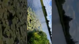 РЫБОЛОВНЫЙ КЛУБ "СТРЕЛЕЦКИЙ  РУЧЕЙ" рыбалка