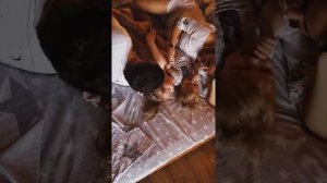 Видео с домашней фотосессии с детьми в стиле Лайфстайл / Lifestyle video