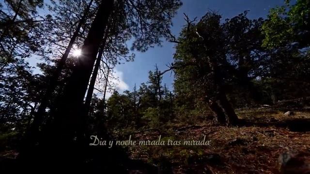 KAROLINE-CREMATORY (sub spanish) смотреть онлайн