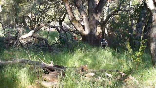 Timm смотреть онлайн