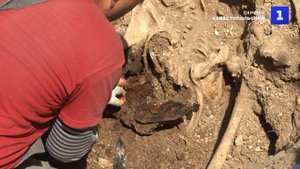 В ТСН «Энергетик-1» нашли останки бойцов Приморской армии