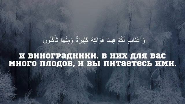 Махди Аш Шишани изумительное чтение