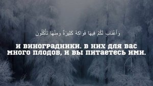 Махди Аш Шишани изумительное чтение