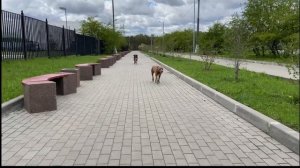 КАК МЫ ПЕРЕЖИВАЕМ ПЕРИОД ТЕЧКИ