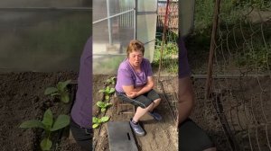 Люся работает в теплице | Андрей Лунёв