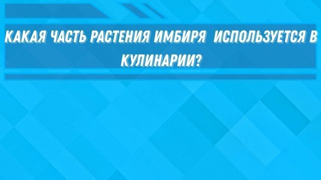 Тест по кулинарии. Кулинария мира.