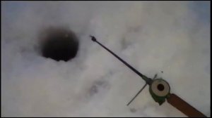 ловля ерша на реке быстрая сосна 2.02.2017