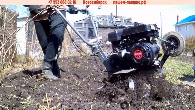 Выкорчевка корней малины культиватором. Вспашка земли в Новосибирске.
