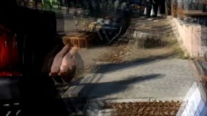 Луганские статные голуби