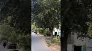 Обзор Котельниково, Волгоградская область