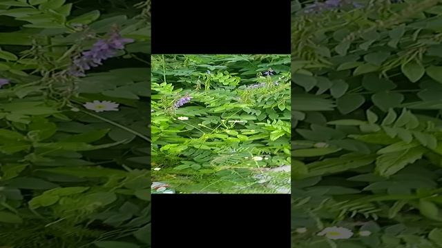 выходные