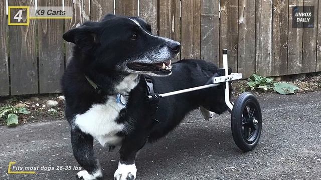 Best Dog Wheelchair of 2020 Top 6 Picks