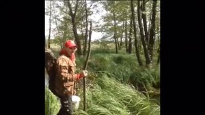 И снова на лебедином озере , рыбалка , природа , заснял лебедей