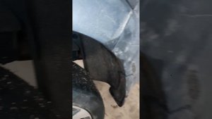 Установка фаркопа на Хендай Туссан 2л. дизель, 2018 -,