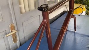 #terjual Polygon Minivelo Zeta Fitte 2022 frameset