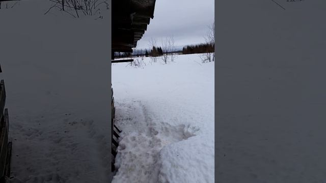 Собака знает как заработать денег в интернете смотреть онлайн