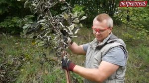 Тест мотоблока «НЕВА» МБ23 МультиАГРО с измельчителем веток, дровоколом и ездовым адаптером