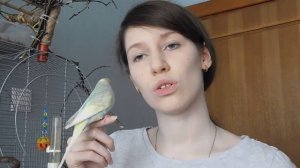 ГОВОРЯЩИЙ ПОПУГАЙ | КАК НАУЧИТЬ ПОПУГАЯ РАЗГОВАРИВАТЬ | КАКИЕ СЛОВА ЗНАЕТ КРОШИК