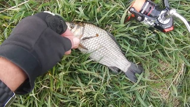 Караси на микроджиг. Приманки Perch'ik смотреть онлайн