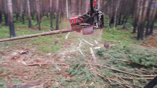 На высоте, новая шикарная делянка!!! смотреть онлайн