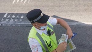 Ужаленный на посту "Аюта" Ростовской области М-4 Дон 994 км /Аютинский пост ДПС Ростовской области