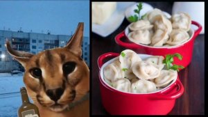 Твоя любимая еда: думерские лица шлёпы