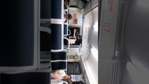 Баянист в электричке