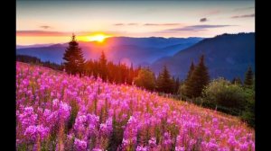 тест хсплит