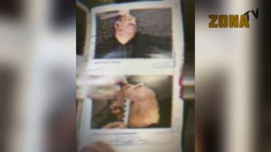 Вор в законе - Хаджи Бейлаганский / Развязка уголовного дела по 210.1 УК РФ