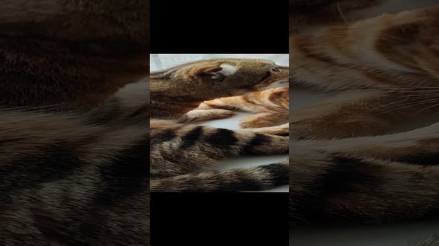 лишь бы умыть