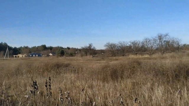 1 декабря праздник Платон и Роман Зимоуказатели . Народные приметы и традиции