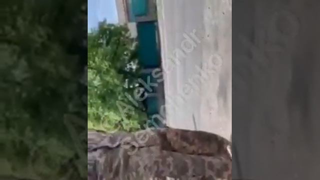 Мужик круто наехал на военкомов. Военкомы тупо обтекали. смотреть онлайн