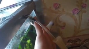 Переезд!!!  День 30!