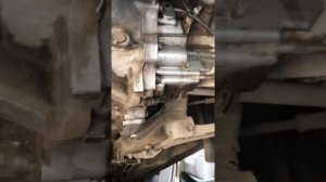 Nissan almera classic хруст в мкпп