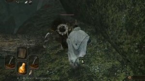 ГАЙД Где найти Орнифекс в dark souls 2, Ключ-Клык (Ворона делает лучшее оружие) \ Оружейник Орнифек