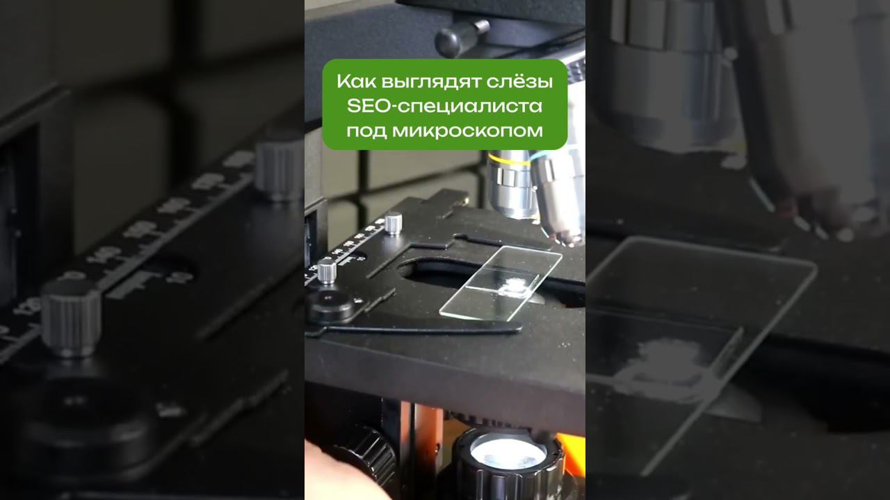 SEO-специалисты не плачут (разве, что иногда) #seo #маркетинг #бизнес #юмор смотреть онлайн