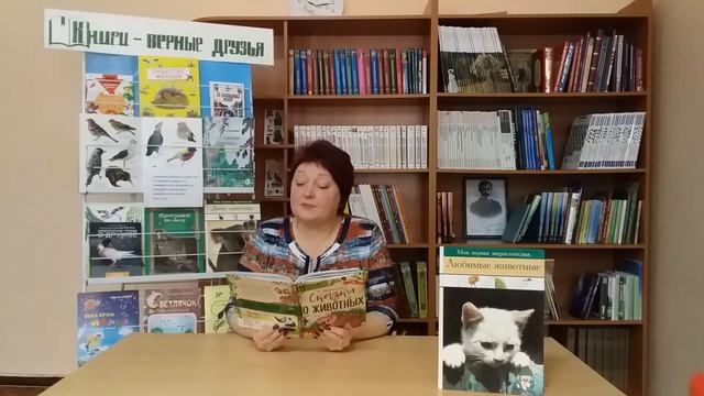 Чтение вслух «Сказки о животных» смотреть онлайн