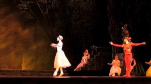 "Лебединое озеро". Кремлевский балет.