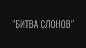 Стихотворение "Битва слонов"- Николай Заболоцкий